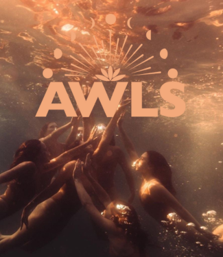 Aquarian Women's Leadership Society - SCHOLARSHIPS