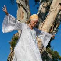 Yogic Science Academy: The Vayus