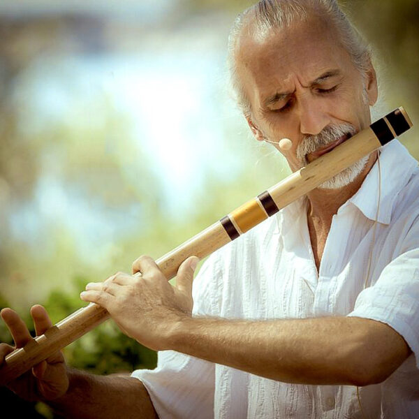 A Meditative Concert with Shastro