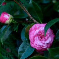 AromaEuphoria Workshop