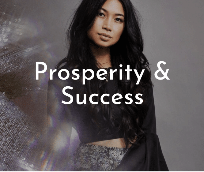 Prosperity-Success-Collection.png