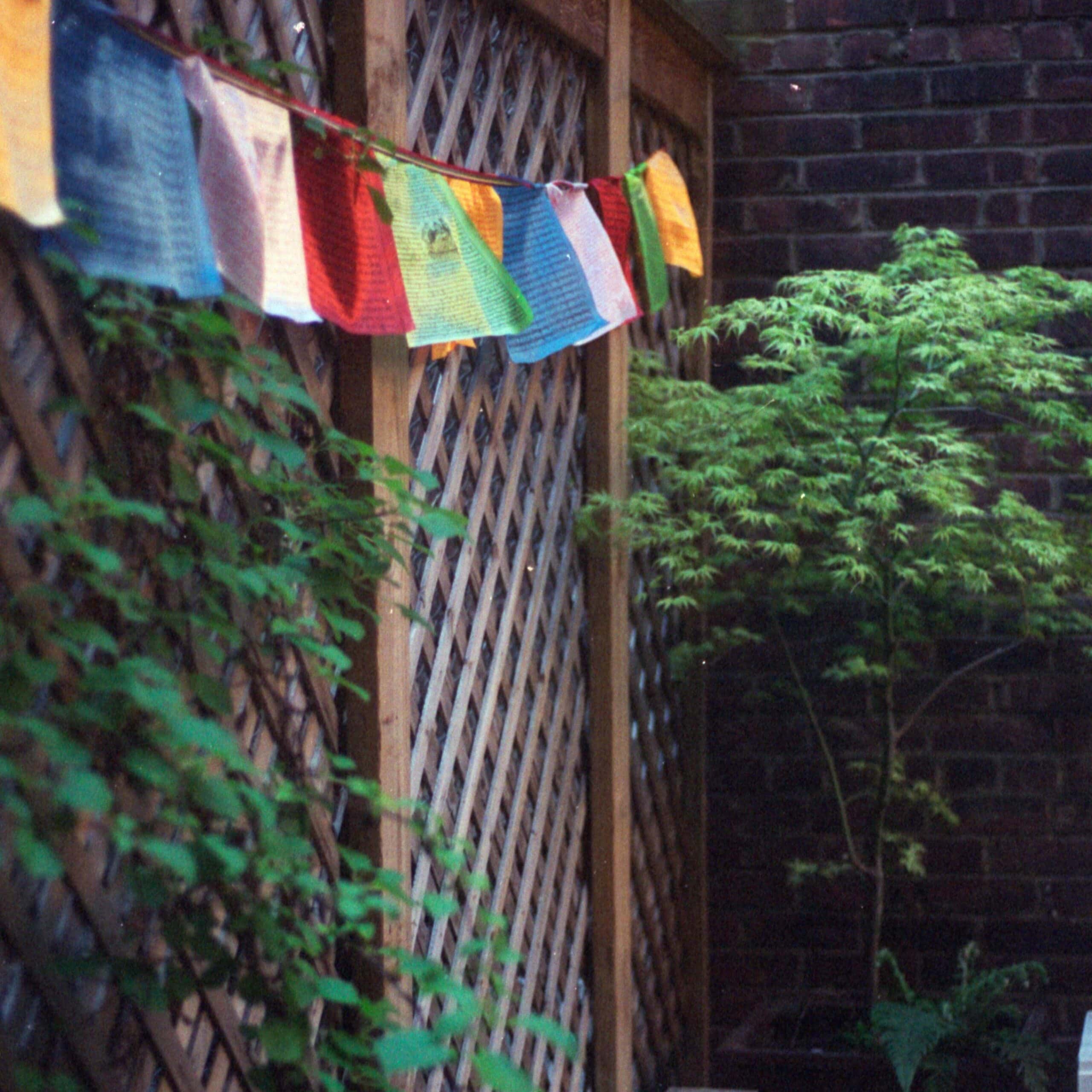 COSMIC STARGATE MEDITATION + ZEN PATIO PARTY