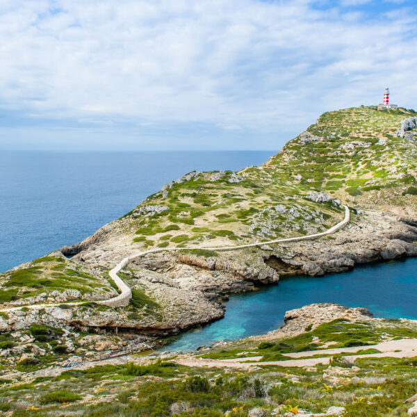 Custom RA MA Excursion Lee Ann Bulgin