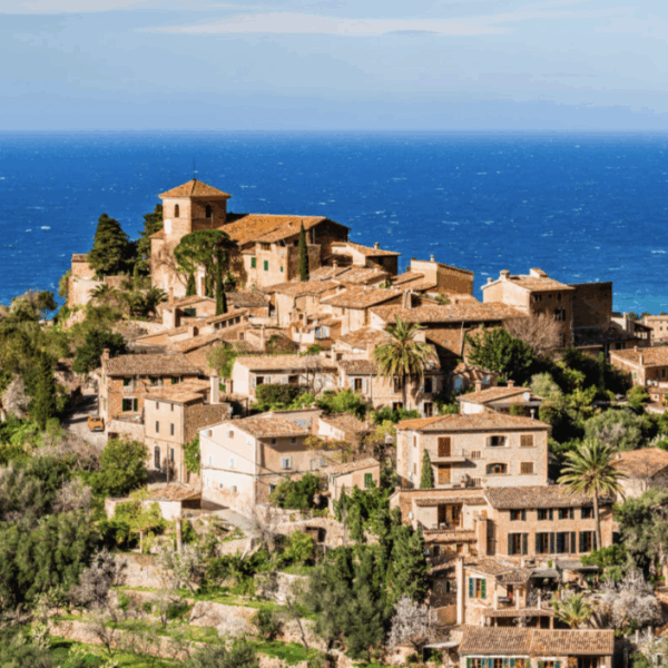 RA MA Experiences | Deia