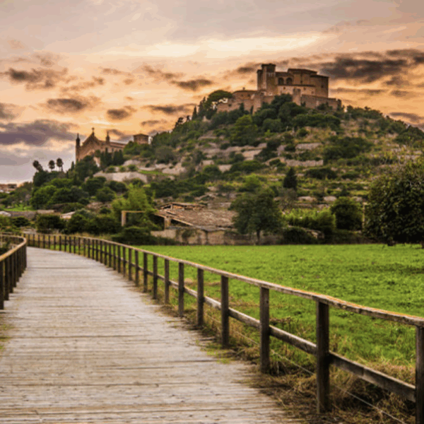 RA MA Experiences | The Green Goddess