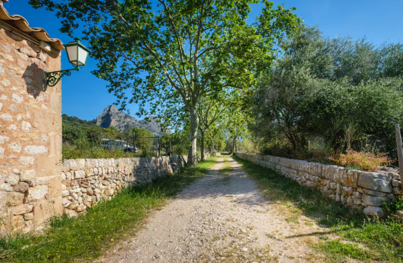Renewal & Embodiment Immersion: Mallorca | Payment Plan